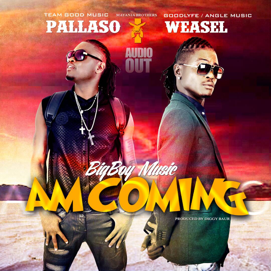 Radio And Weasel