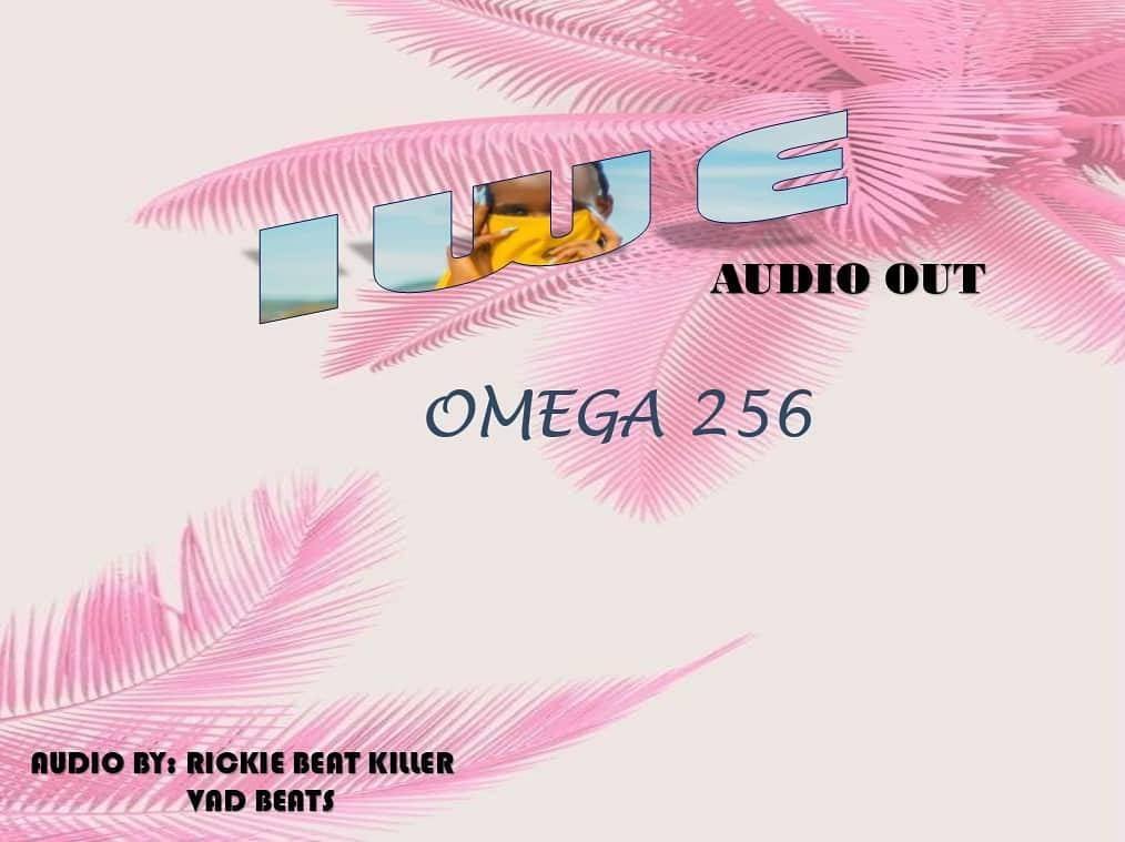 Omega 256