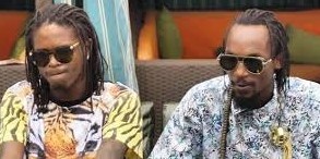 Radio And Weasel