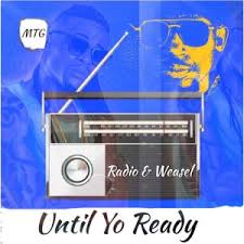 Radio And Weasel
