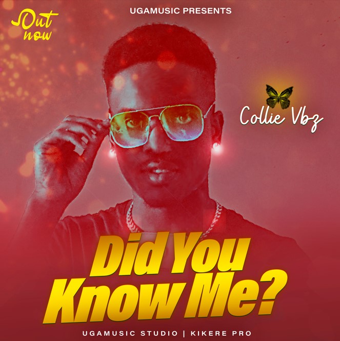 Collie Vybz