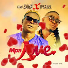 Radio And Weasel