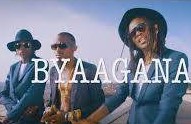 Radio And Weasel