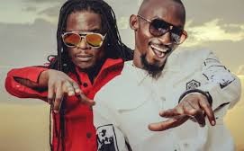 Radio And Weasel