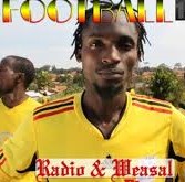 Radio And Weasel