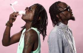 Radio And Weasel