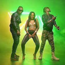 Radio And Weasel