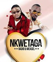Radio And Weasel