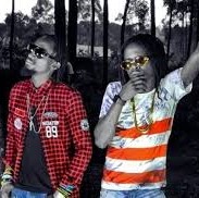 Radio And Weasel