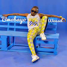 Radio And Weasel