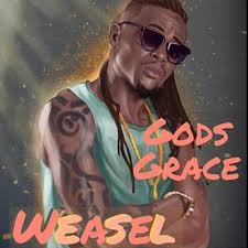 Radio And Weasel