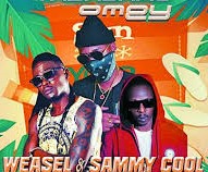 Radio And Weasel