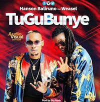 Radio And Weasel